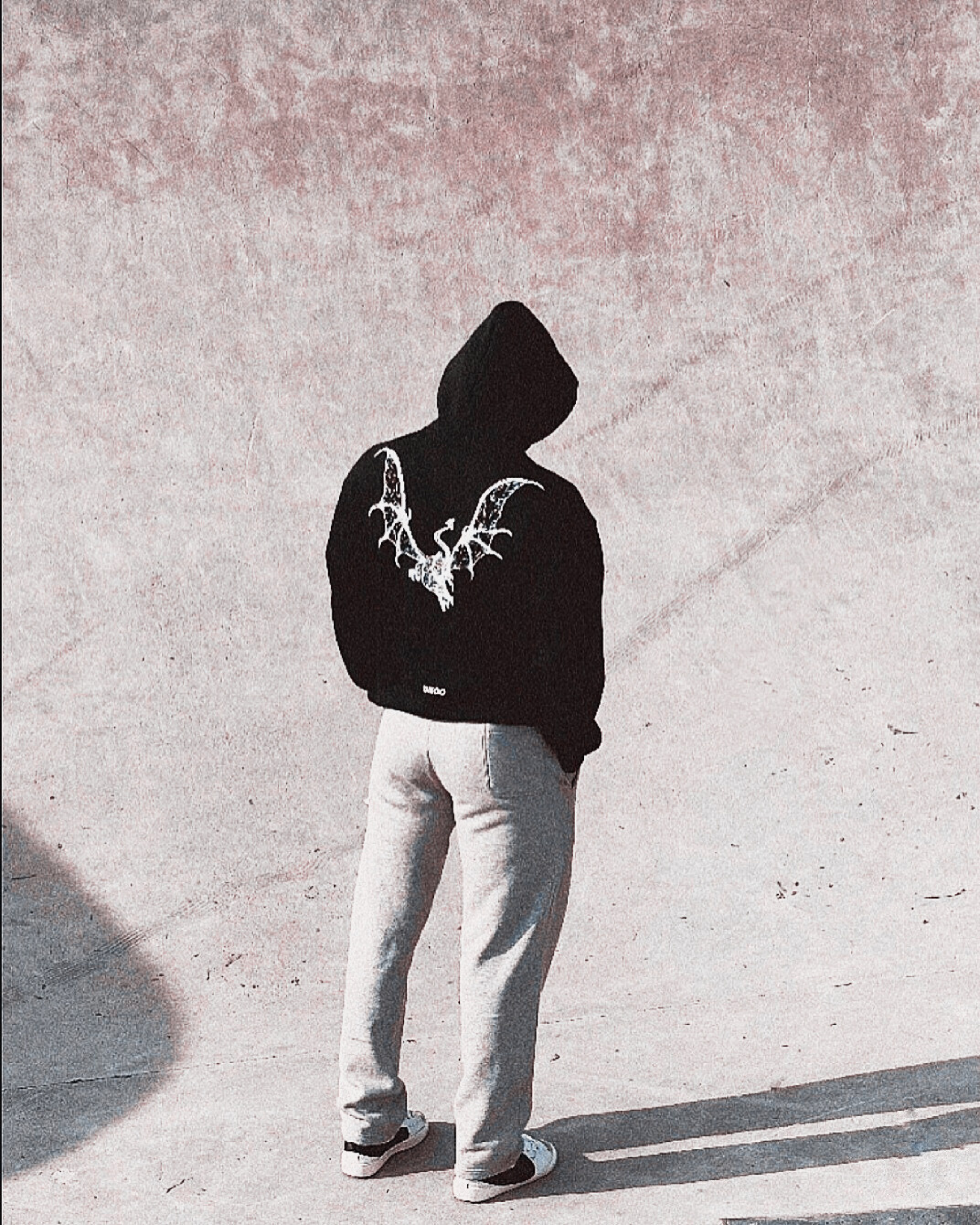 THE DEMIGOD COLLECTION