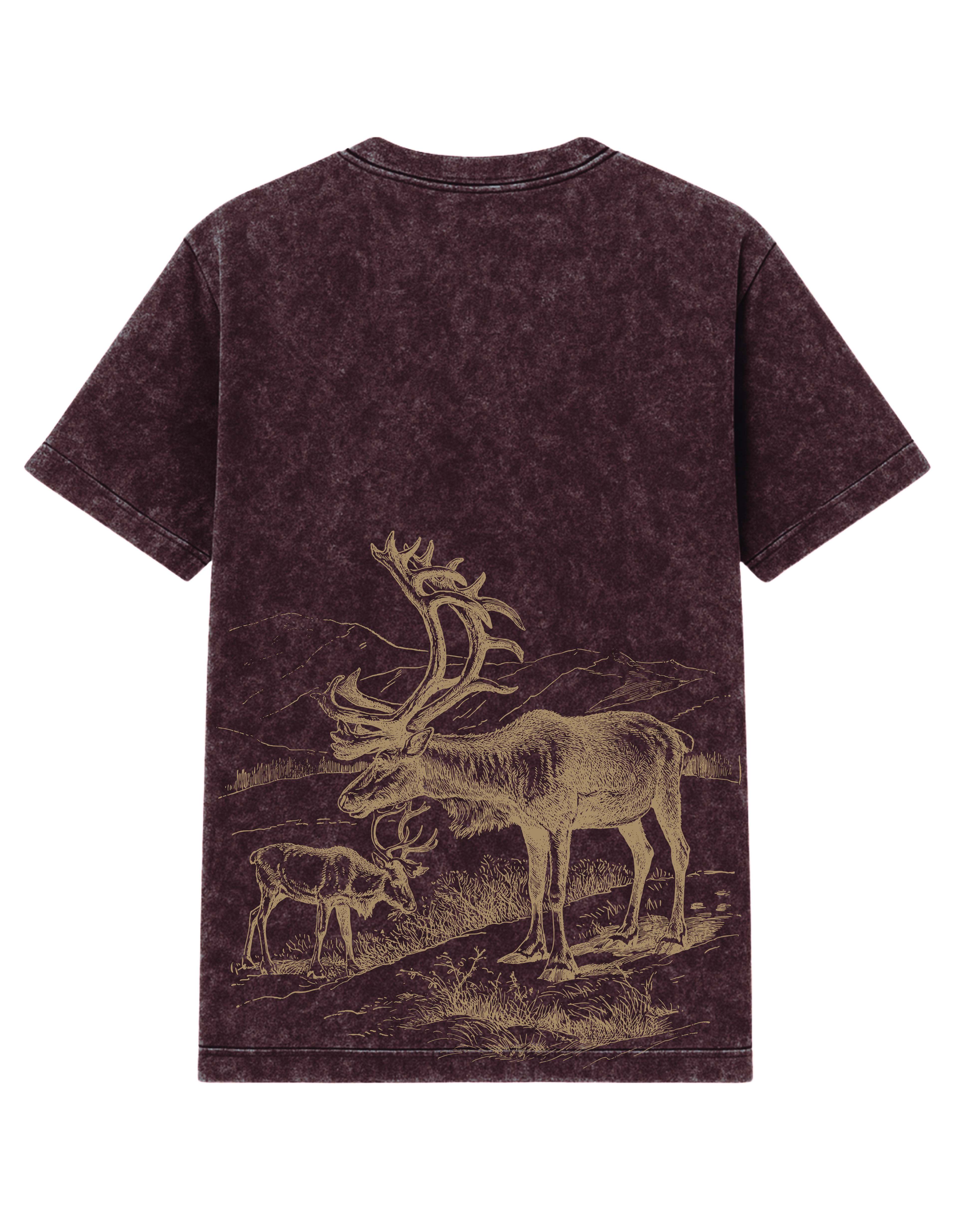 The Grazing Reindeer