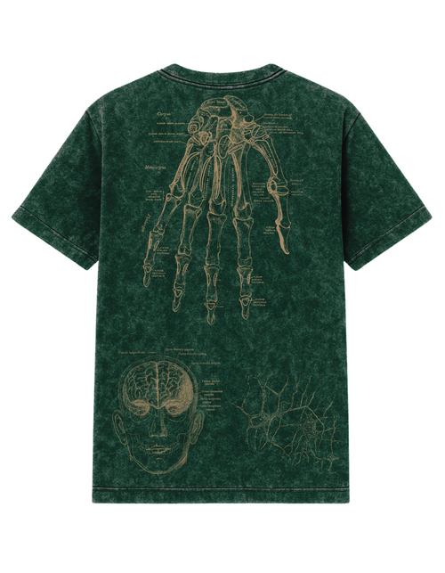 Anatomized