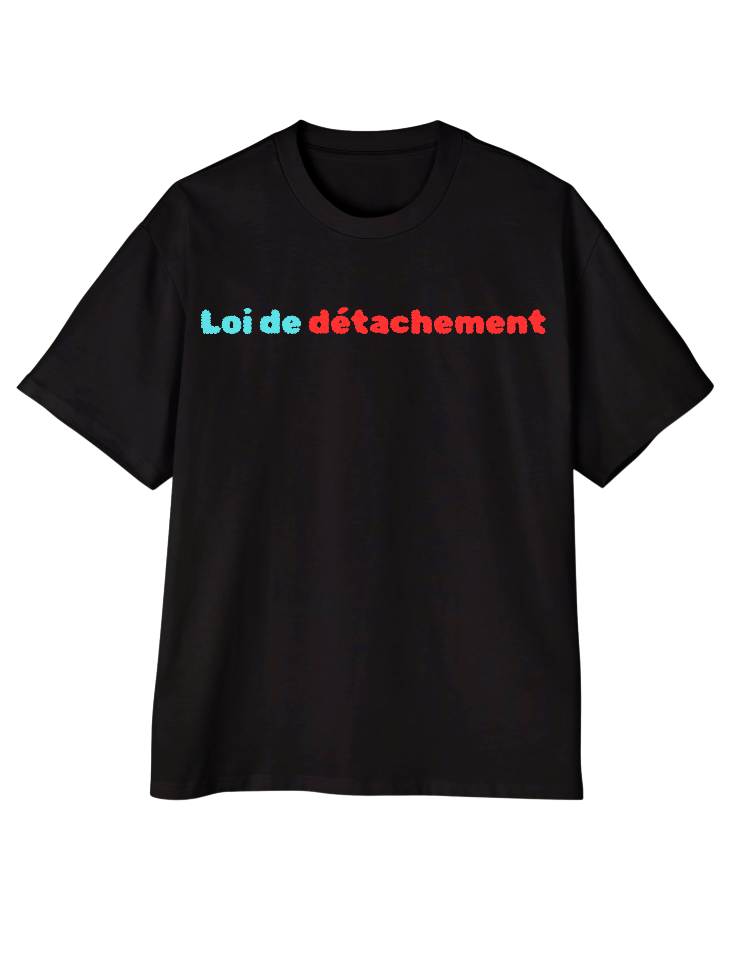 LOI DE DETACHMENT